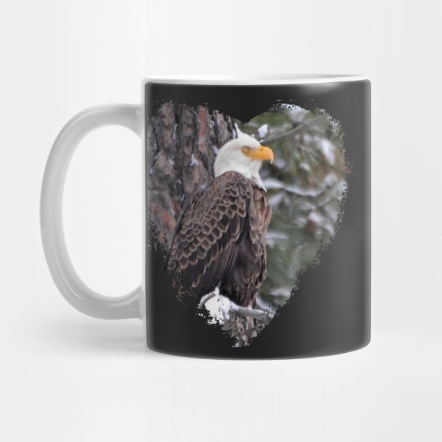 American Bald Eagle by Whisperingpeaks